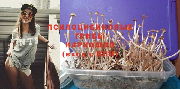 альфа пвп Михайловка