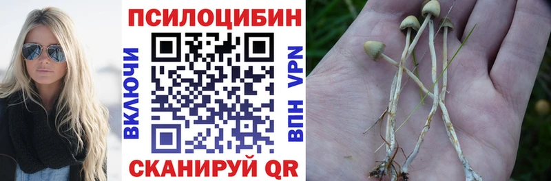 Галлюциногенные грибы мухоморы  Катайск 